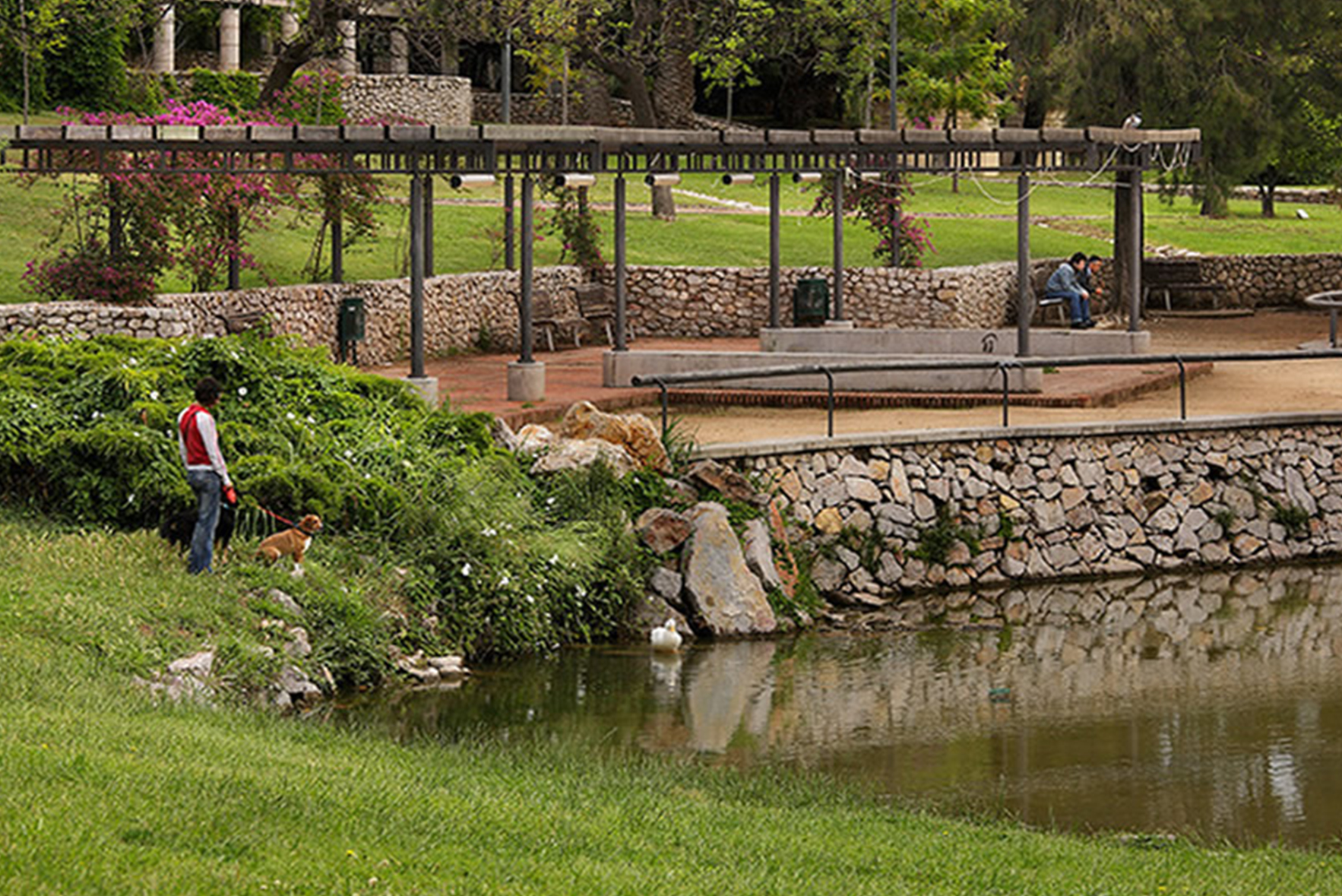 Cornella parc can-mercader jardi estany