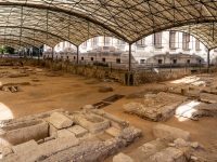 web_r236446_0 web_r236446_0